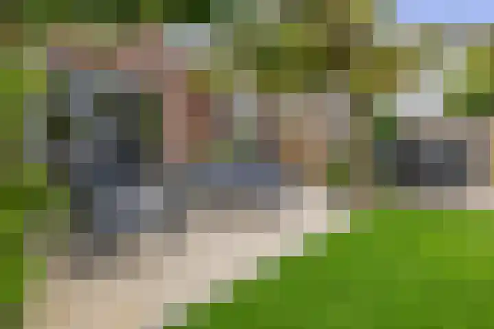 Dotterbloemdreef 17 Harderwijk thumbnail 28