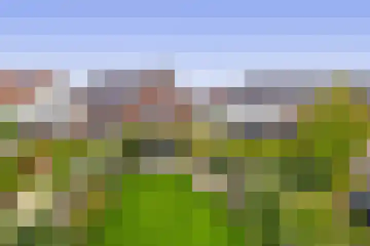 Dotterbloemdreef 17 Harderwijk thumbnail 29