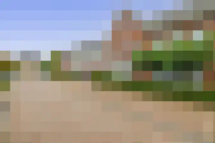 Dotterbloemdreef 17 Harderwijk thumbnail 31