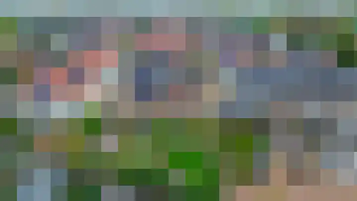Dotterbloemdreef 17 Harderwijk thumbnail 32