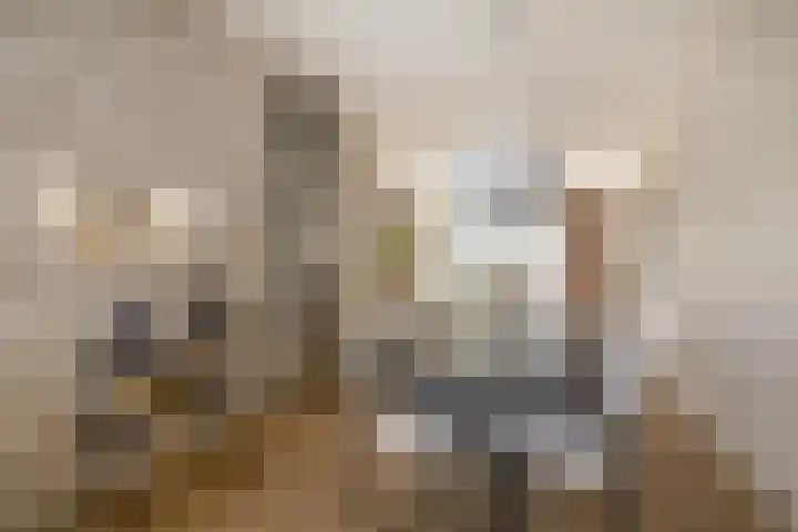 Dotterbloemdreef 17 Harderwijk thumbnail 7