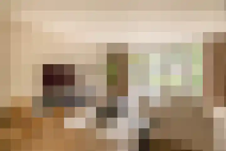 Dotterbloemdreef 17 Harderwijk thumbnail 8