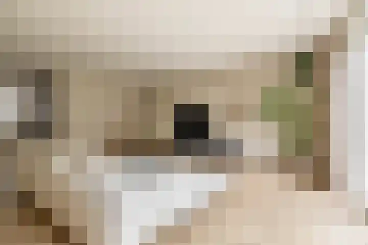 Dotterbloemdreef 17 Harderwijk thumbnail 9
