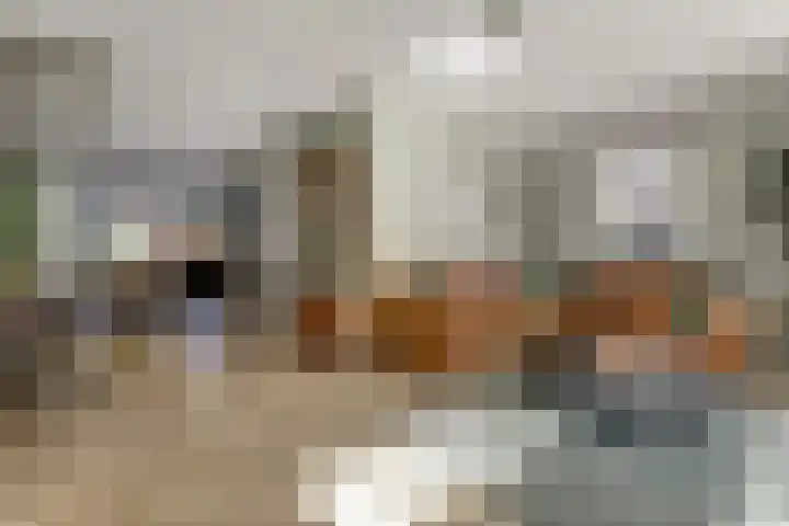 Dotterbloemdreef 18 Harderwijk thumbnail 10