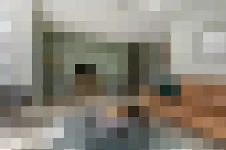 Dotterbloemdreef 18 Harderwijk thumbnail 12
