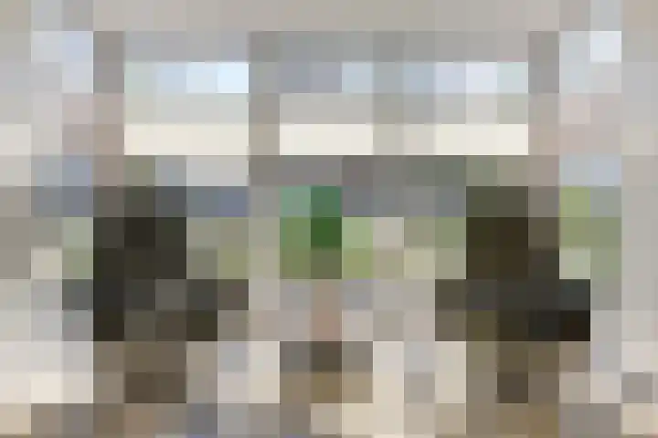 Dotterbloemdreef 18 Harderwijk thumbnail 13