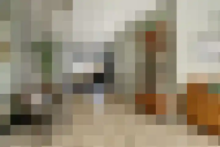 Dotterbloemdreef 18 Harderwijk thumbnail 14