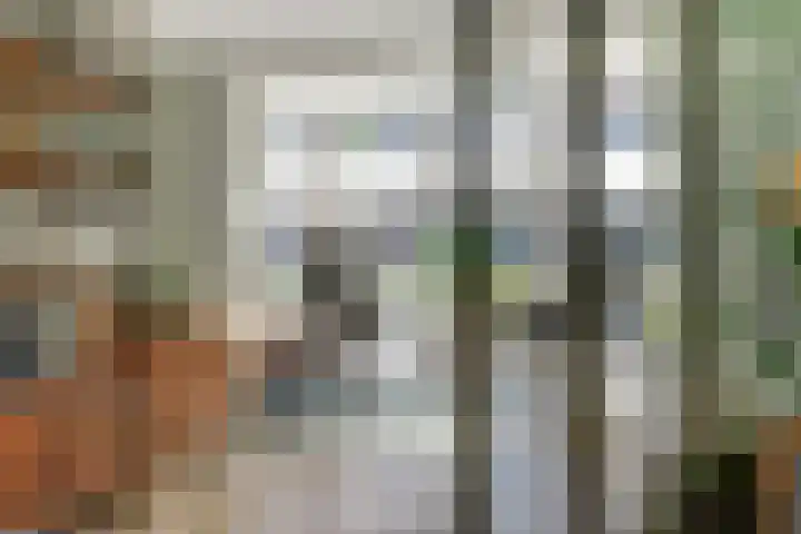 Dotterbloemdreef 18 Harderwijk thumbnail 15