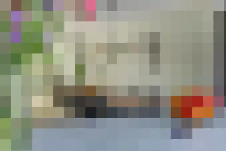 Dotterbloemdreef 18 Harderwijk thumbnail 27