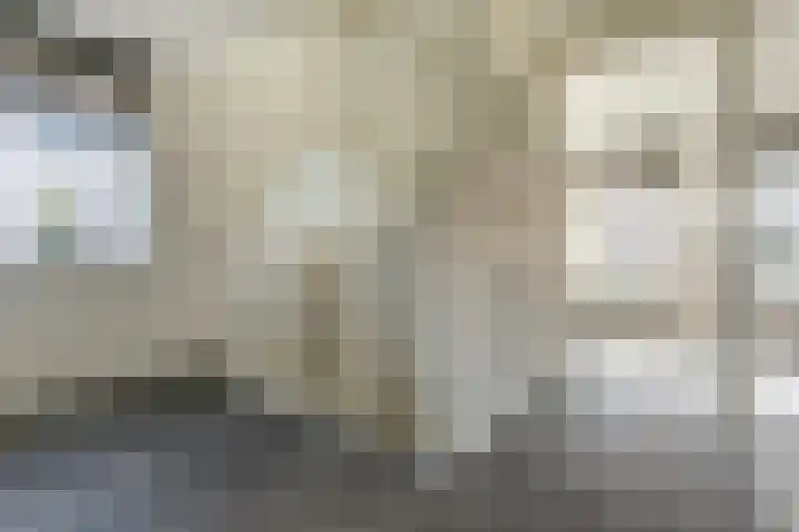 Dotterbloemdreef 18 Harderwijk thumbnail 31