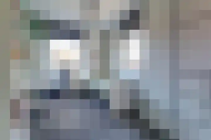 Dotterbloemdreef 18 Harderwijk thumbnail 39