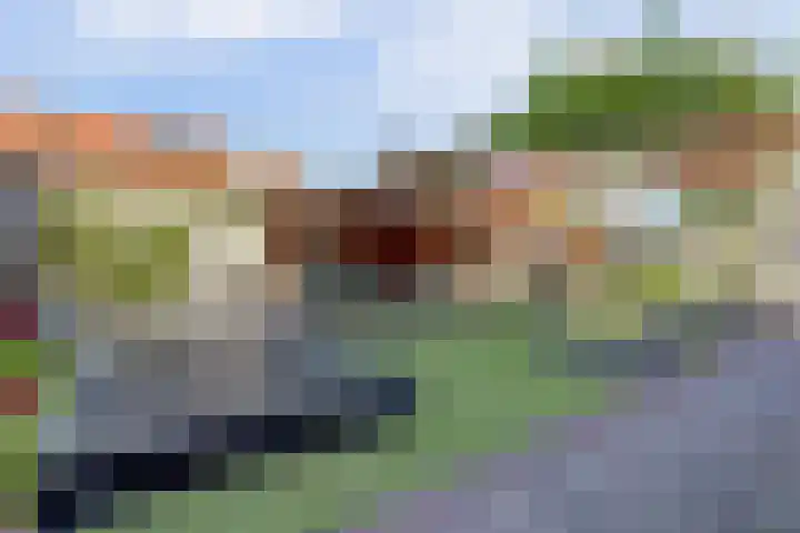 Dotterbloemdreef 18 Harderwijk thumbnail 4