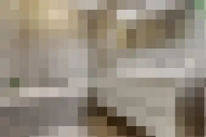 Dotterbloemdreef 18 Harderwijk thumbnail 42
