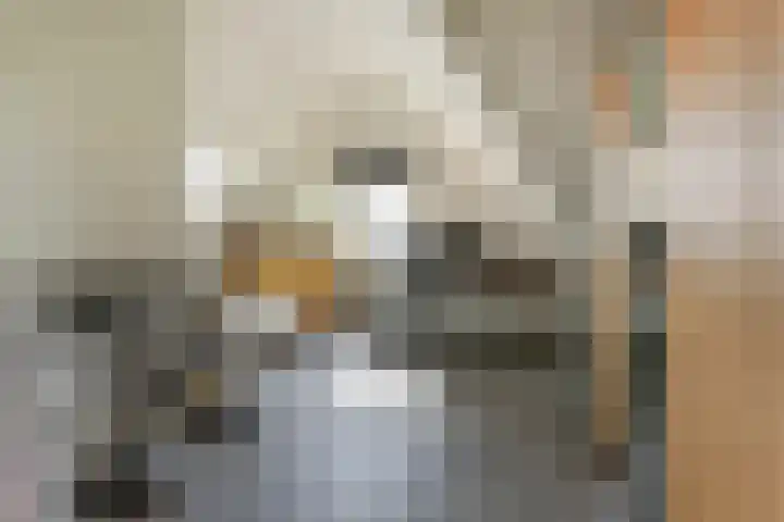 Dotterbloemdreef 18 Harderwijk thumbnail 45