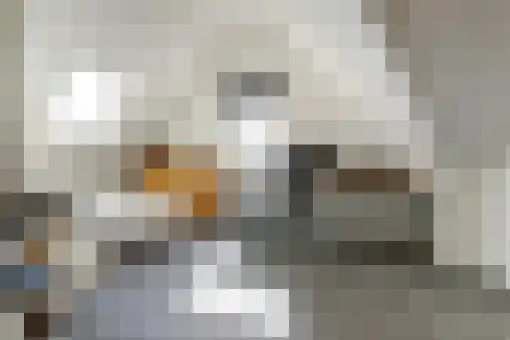 Dotterbloemdreef 18 Harderwijk thumbnail 46