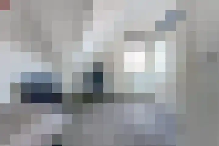 Dotterbloemdreef 18 Harderwijk thumbnail 48