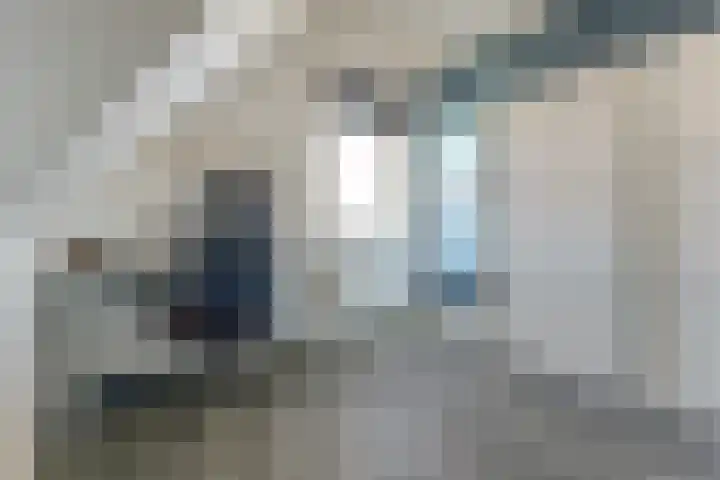 Dotterbloemdreef 18 Harderwijk thumbnail 49