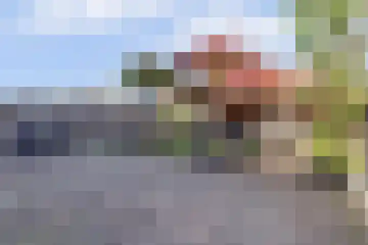 Dotterbloemdreef 18 Harderwijk thumbnail 53