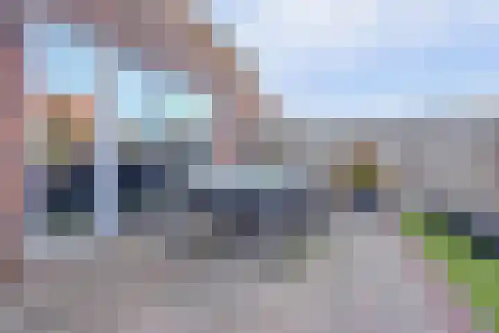 Dotterbloemdreef 18 Harderwijk thumbnail 54