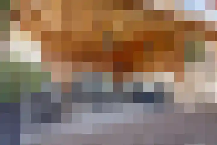 Dotterbloemdreef 18 Harderwijk thumbnail 55