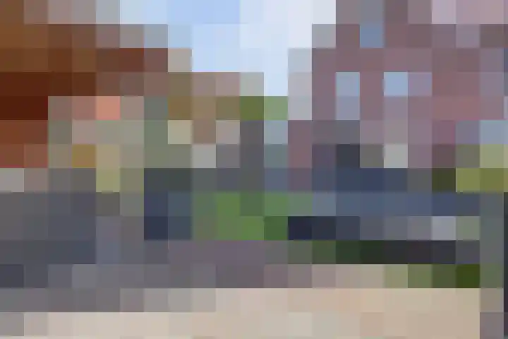 Dotterbloemdreef 18 Harderwijk thumbnail 56