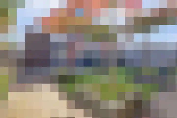Dotterbloemdreef 18 Harderwijk thumbnail 57