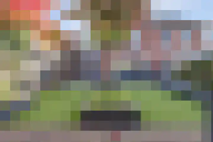 Dotterbloemdreef 18 Harderwijk thumbnail 58