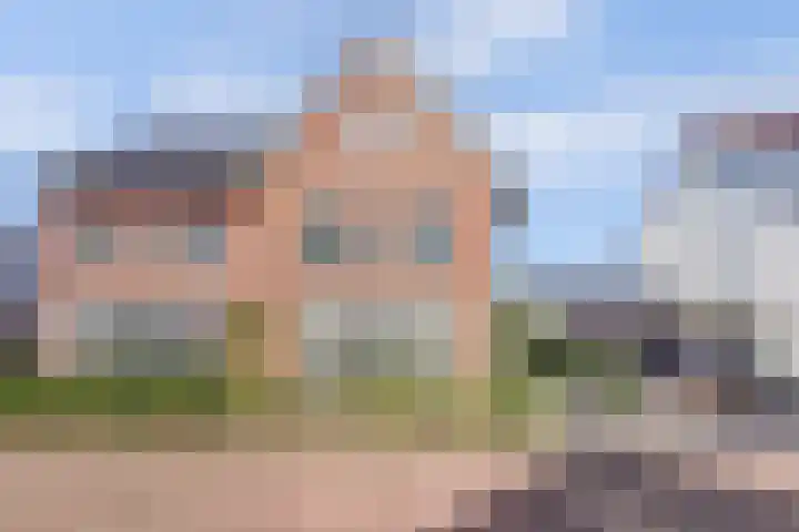 Dotterbloemdreef 18 Harderwijk thumbnail 6