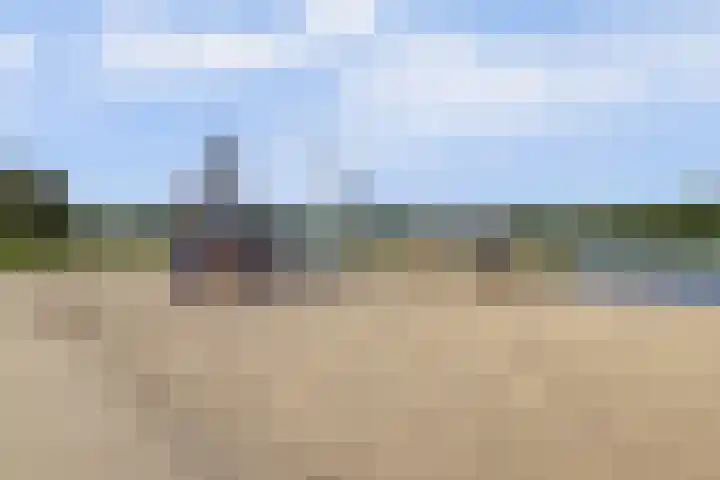 Dotterbloemdreef 18 Harderwijk thumbnail 63