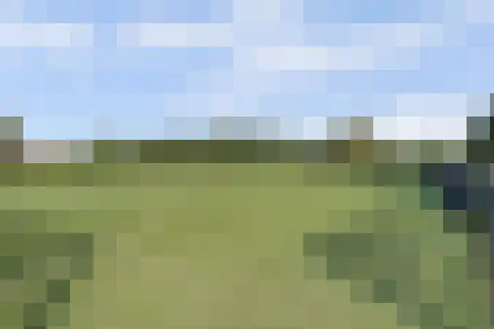 Dotterbloemdreef 18 Harderwijk thumbnail 64
