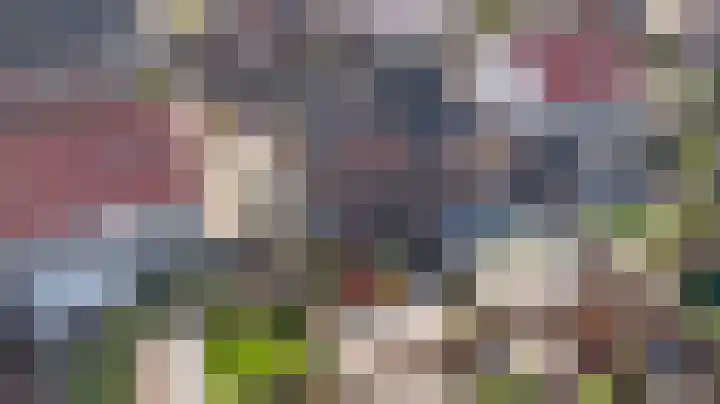 Dotterbloemdreef 18 Harderwijk thumbnail 69