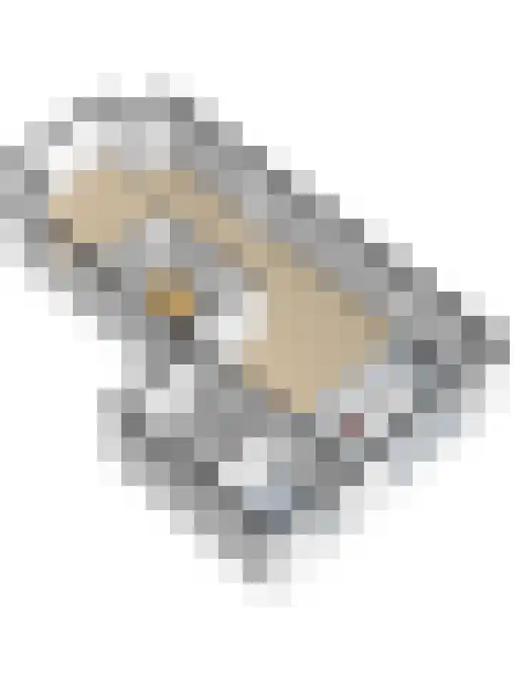 Dotterbloemdreef 18 Harderwijk thumbnail 71