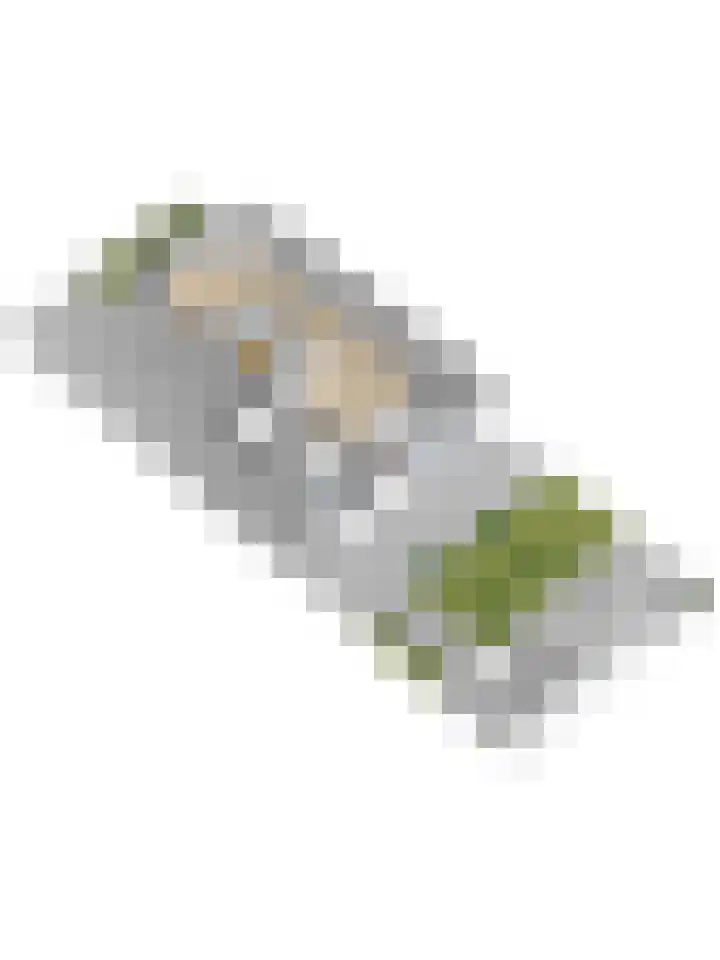 Dotterbloemdreef 18 Harderwijk thumbnail 77