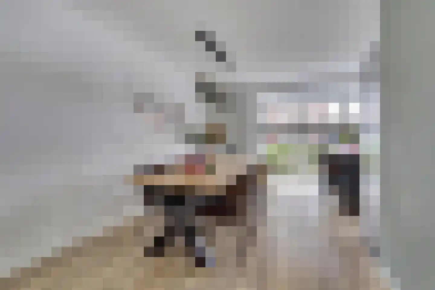 Dotterbloemdreef 20 Harderwijk thumbnail 11