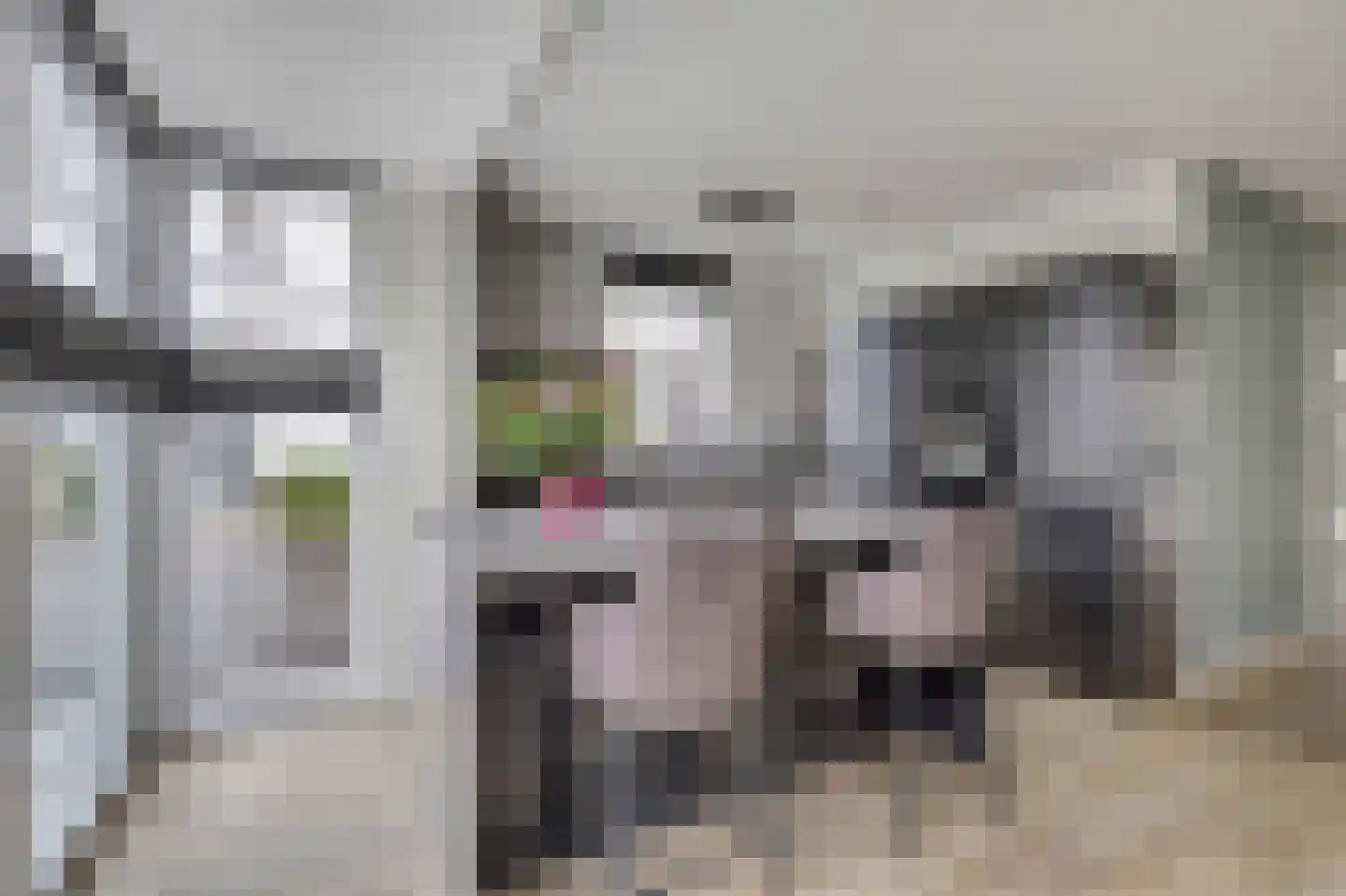 Dotterbloemdreef 20 Harderwijk thumbnail 14