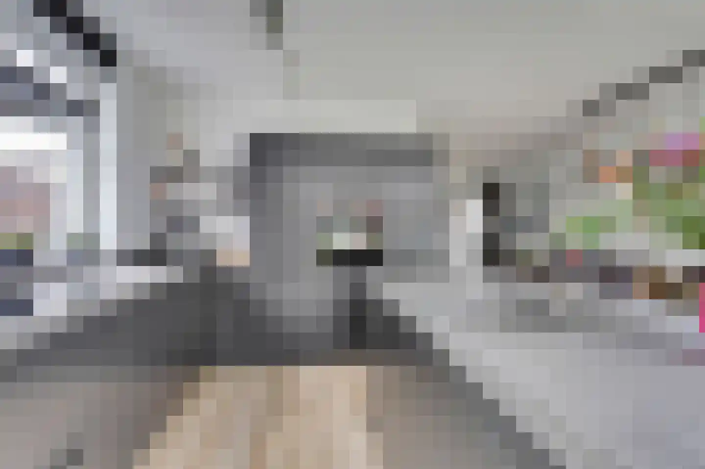 Dotterbloemdreef 20 Harderwijk thumbnail 15