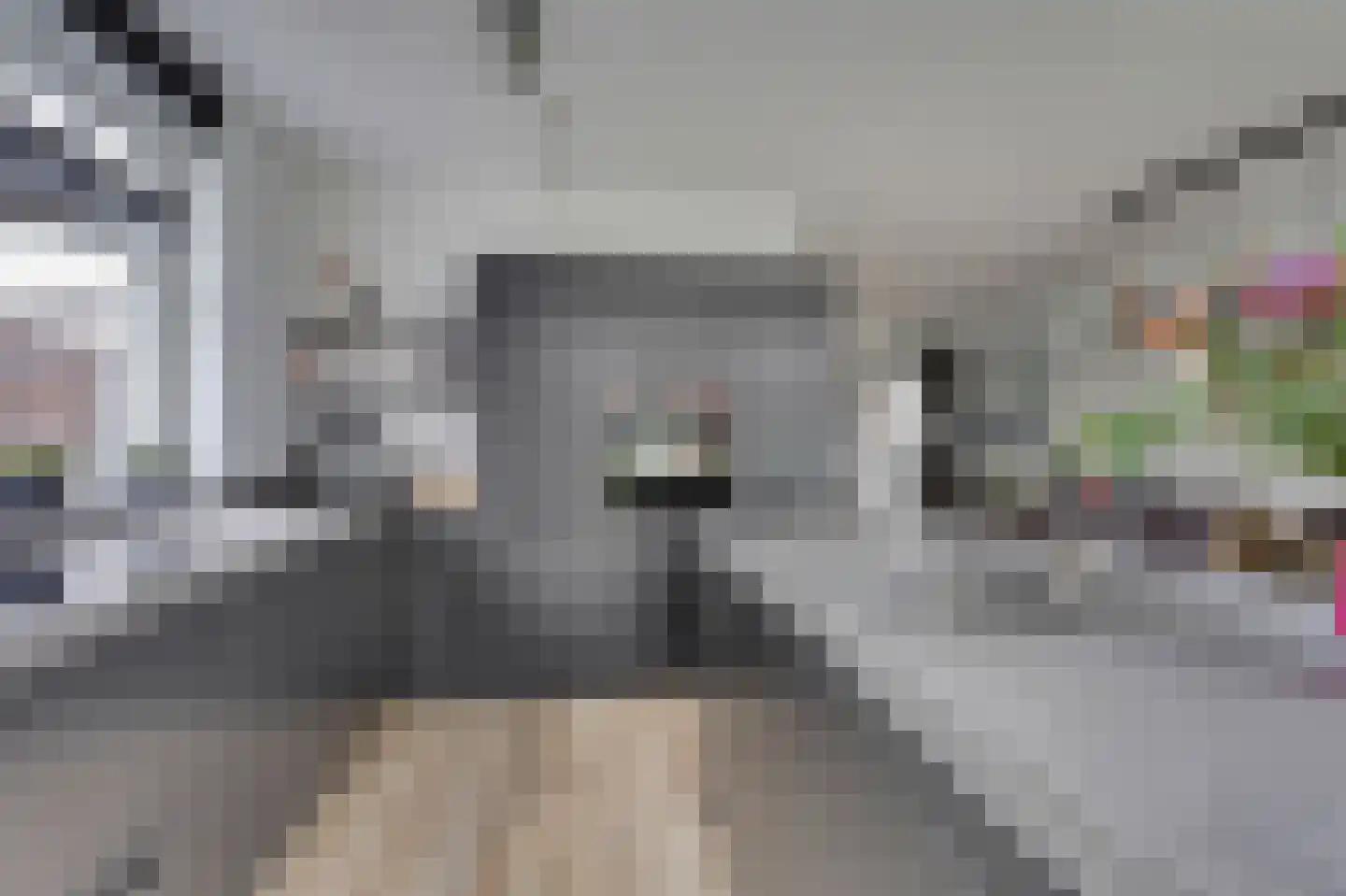 Dotterbloemdreef 20 Harderwijk thumbnail 16