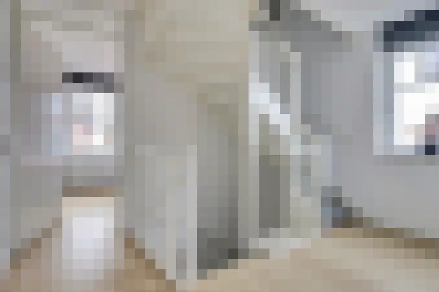 Dotterbloemdreef 20 Harderwijk thumbnail 18