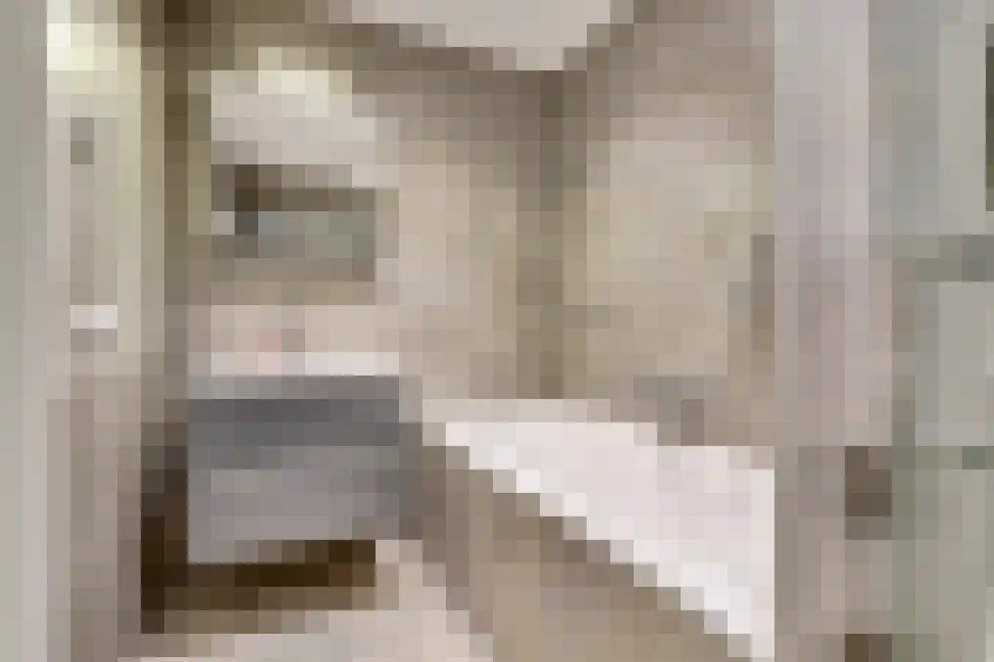 Dotterbloemdreef 20 Harderwijk thumbnail 30