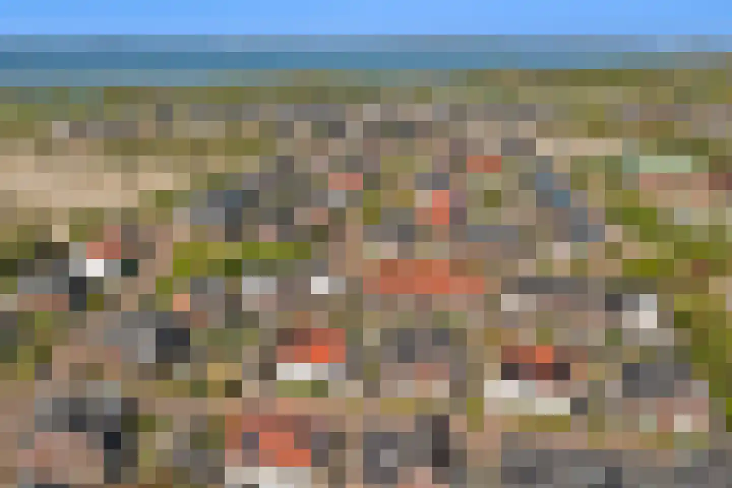Dotterbloemdreef 20 Harderwijk thumbnail 40