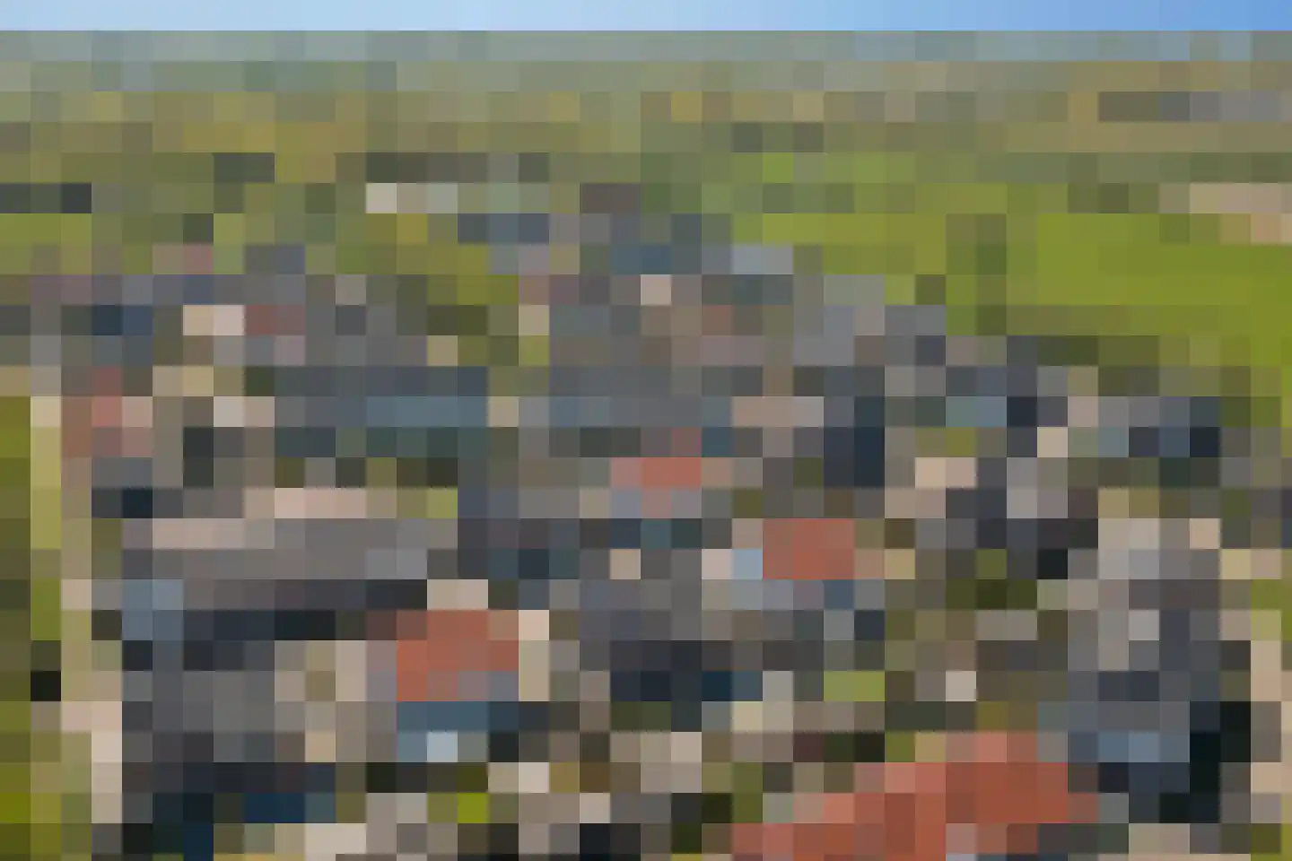 Dotterbloemdreef 20 Harderwijk thumbnail 41