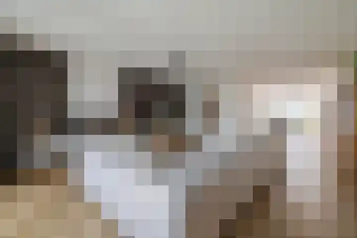 Dotterbloemdreef 22 Harderwijk thumbnail 10