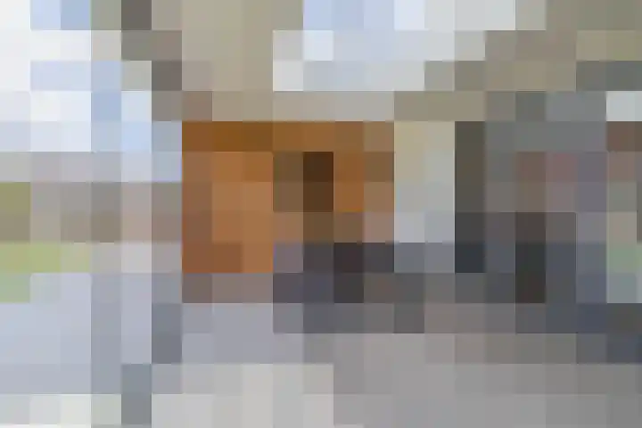 Dotterbloemdreef 22 Harderwijk thumbnail 12