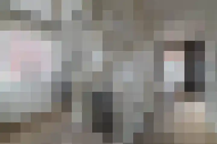 Dotterbloemdreef 22 Harderwijk thumbnail 14