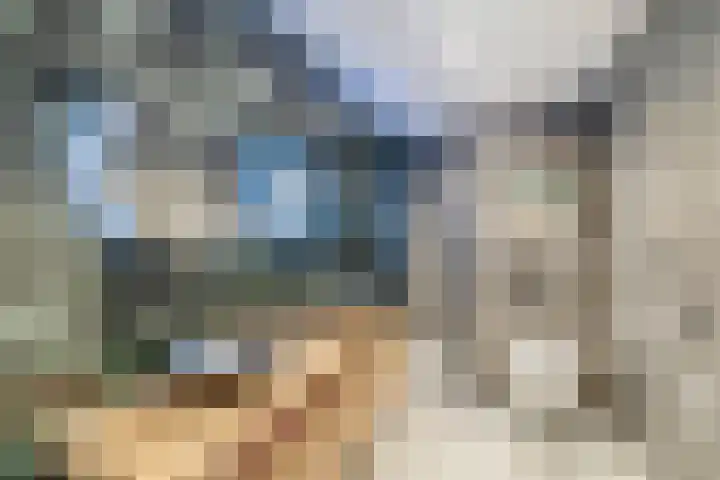 Dotterbloemdreef 22 Harderwijk thumbnail 15
