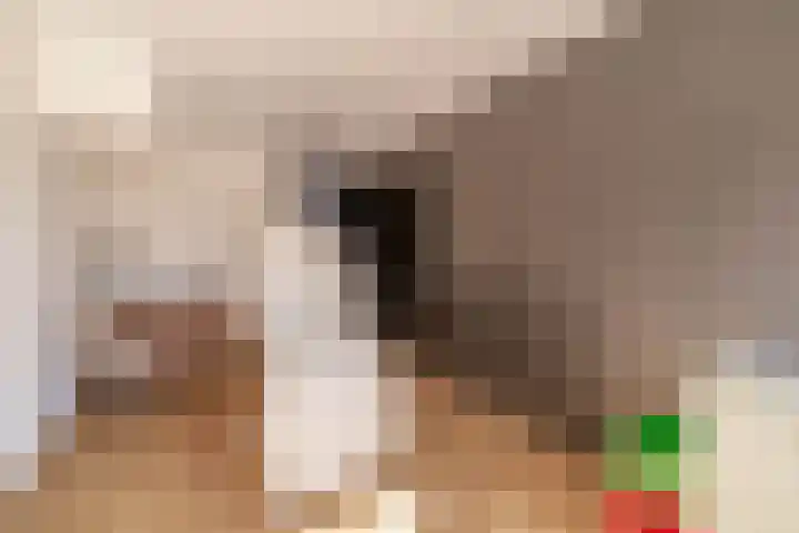 Dotterbloemdreef 22 Harderwijk thumbnail 25