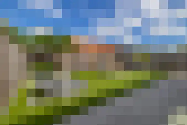Dotterbloemdreef 22 Harderwijk thumbnail 27