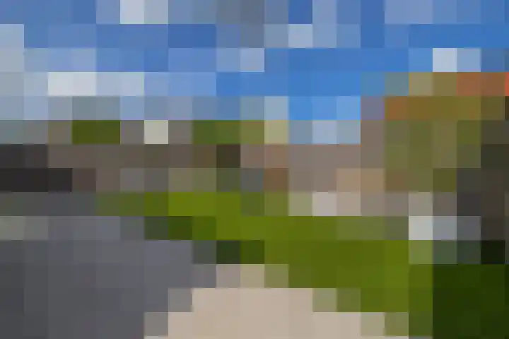 Dotterbloemdreef 22 Harderwijk thumbnail 28