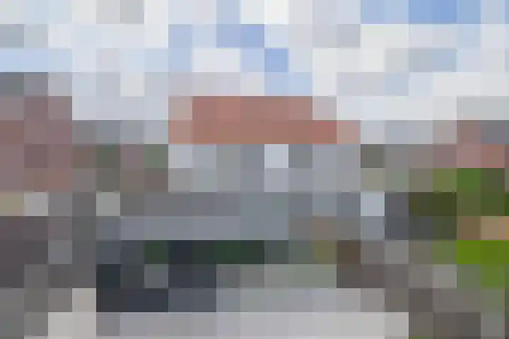 Dotterbloemdreef 22 Harderwijk thumbnail 29