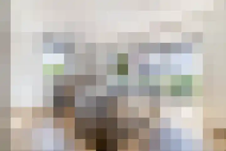 Dotterbloemdreef 22 Harderwijk thumbnail 7